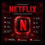 Netflix Pro Official Subscription